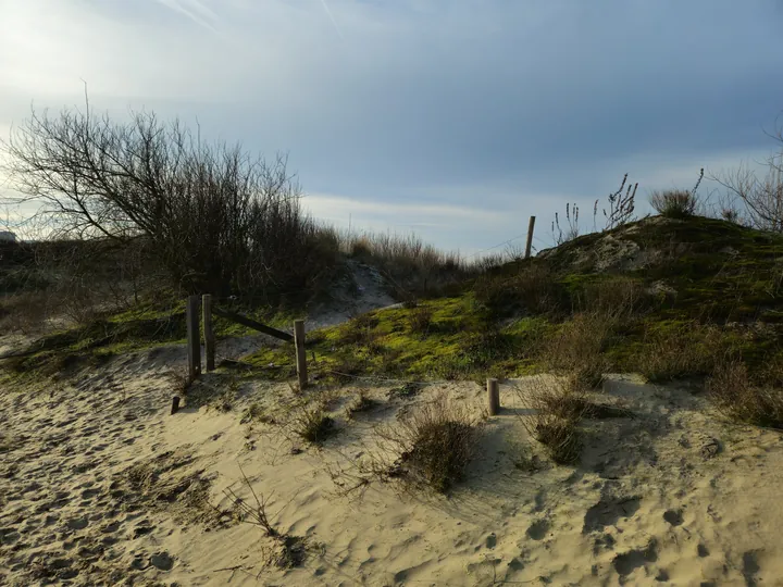 Oostnieuwkerke duinen wandeling in de koude (België)